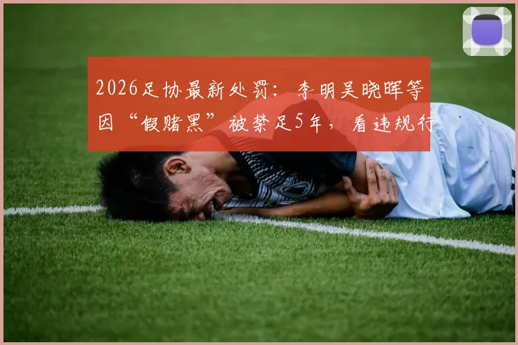 2026足协最新处罚:李明吴晓晖等因“假赌黑”被禁足5年,看违规行为如何界定与影响